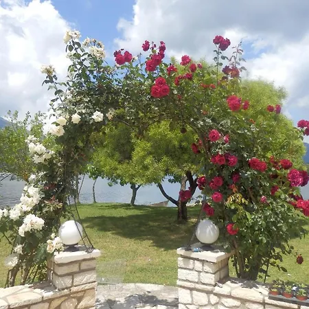 The Garden's