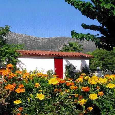 The Garden's