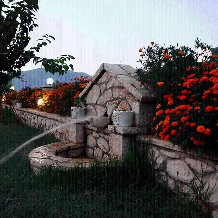 The Garden's Guest house *
