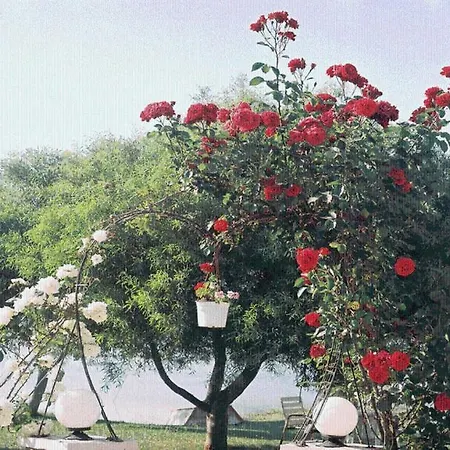 The Garden's *