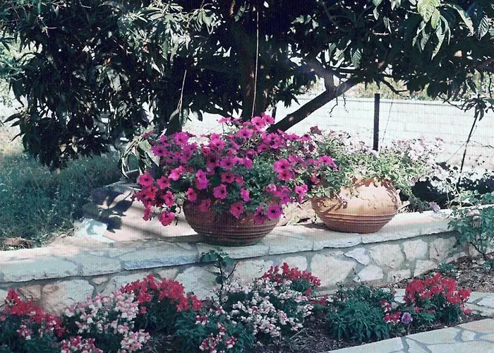 The Garden's Vlikhón