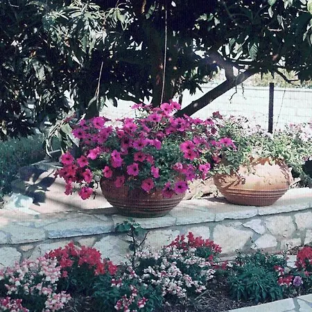 The Garden's Vlikhón