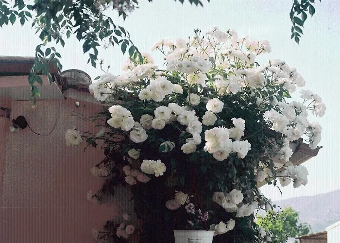 The Garden's 3* Vlikhon