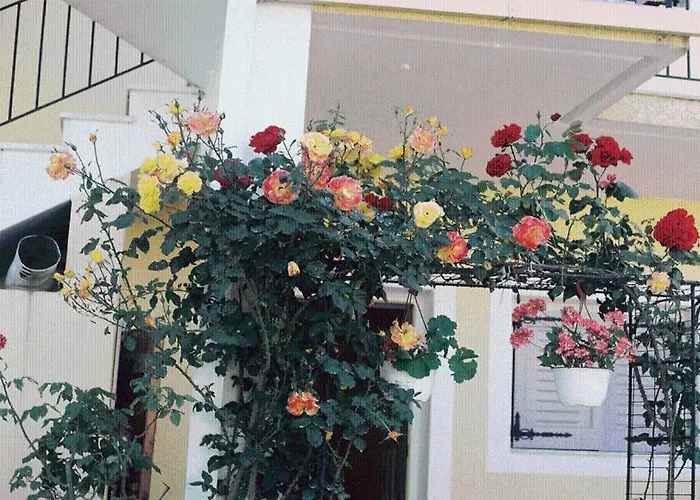 Guest house The Garden's